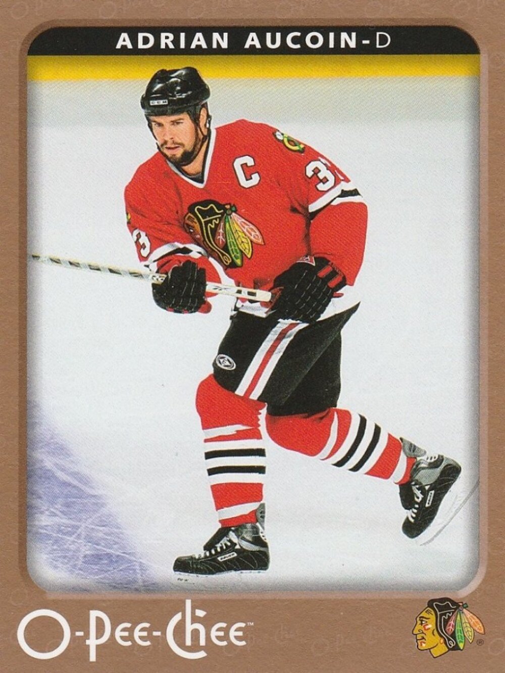 Adrian Aucoin Hockey Card